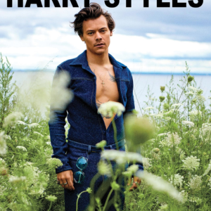Poster Grande Harry Styles